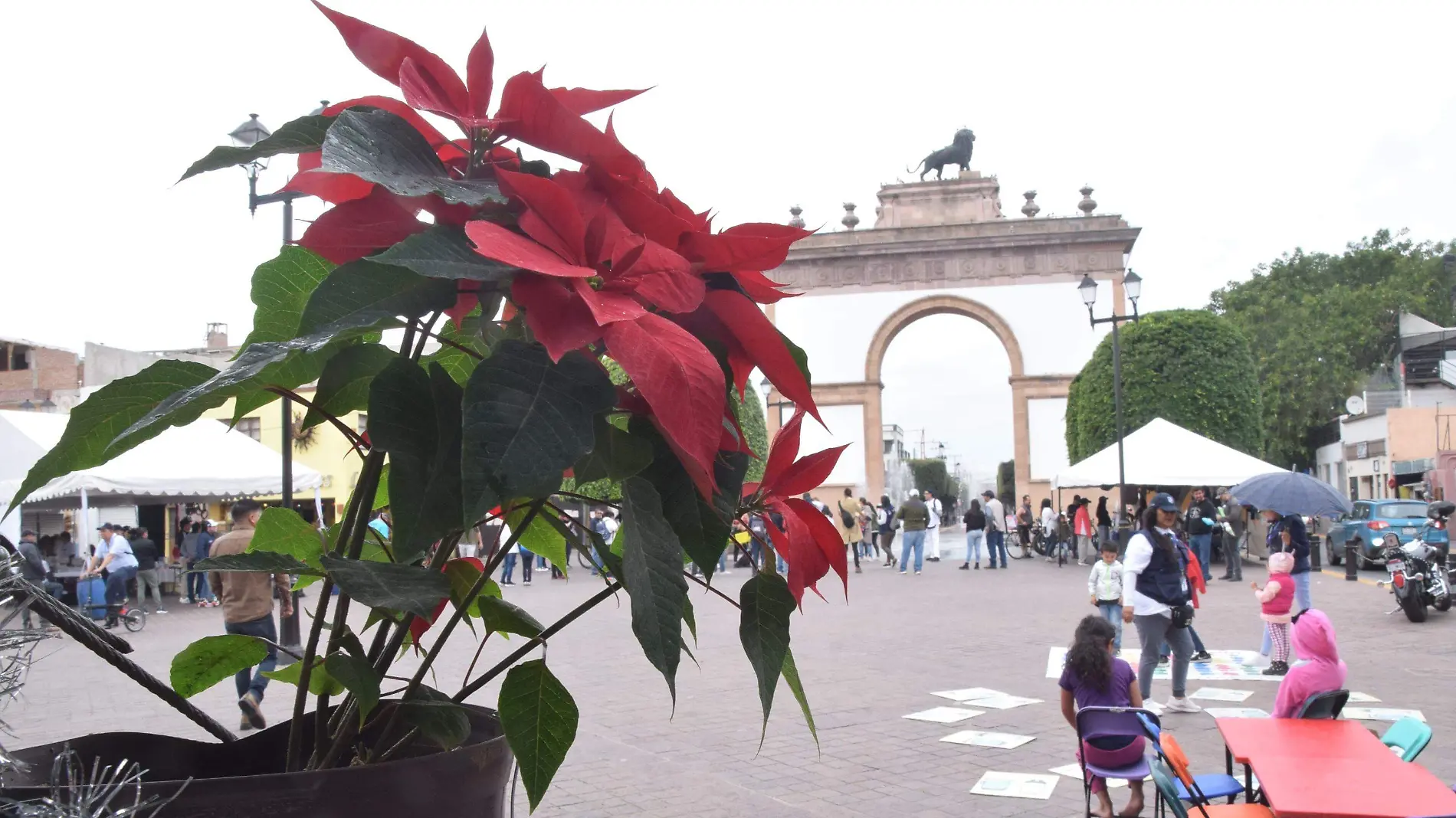 Decoraciones Navideñas Centro _ FRANCISCO CARMONA